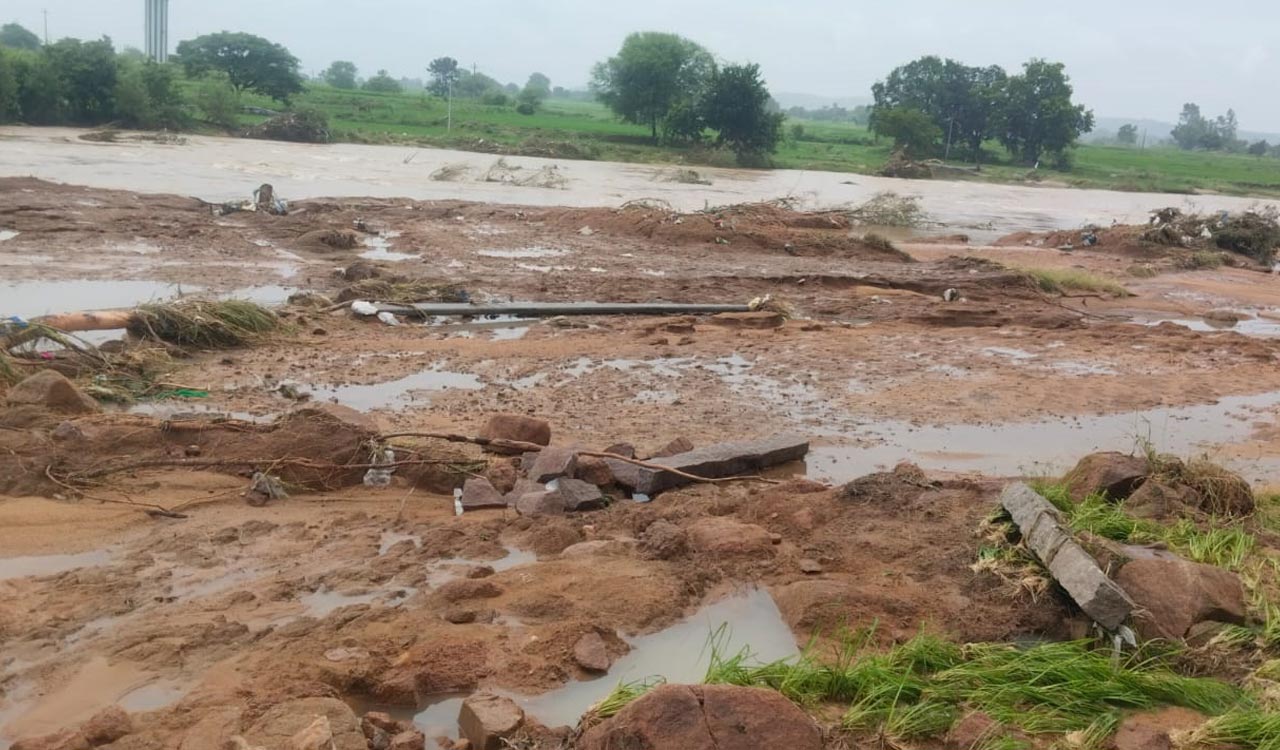 Farmers in Medak face huge losses as rains erode lands