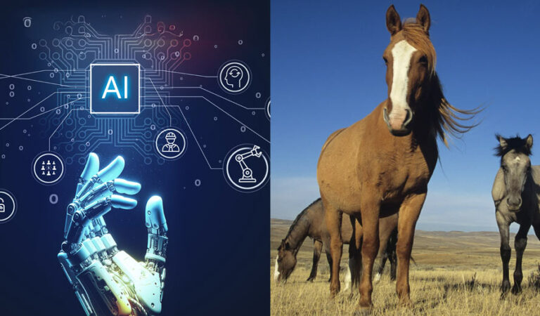 AI and animals