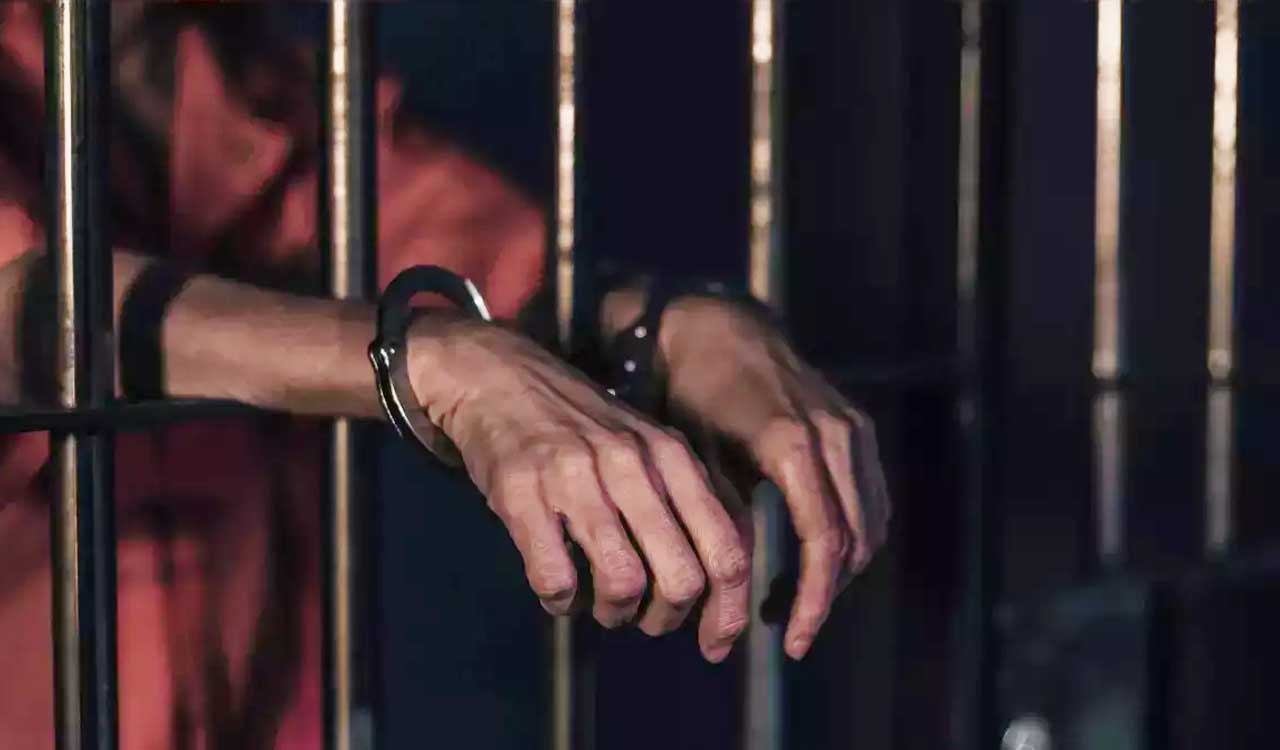 Khammam court sentences two to 20 years in prison, each get Rs 2 lakh fine in ganja case