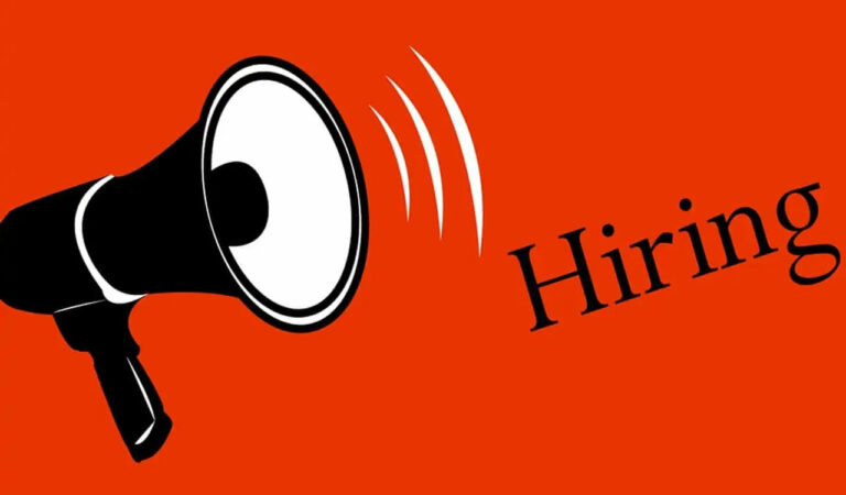 Hiring momentum strong in H2 2025 with IT, AI skills in demand