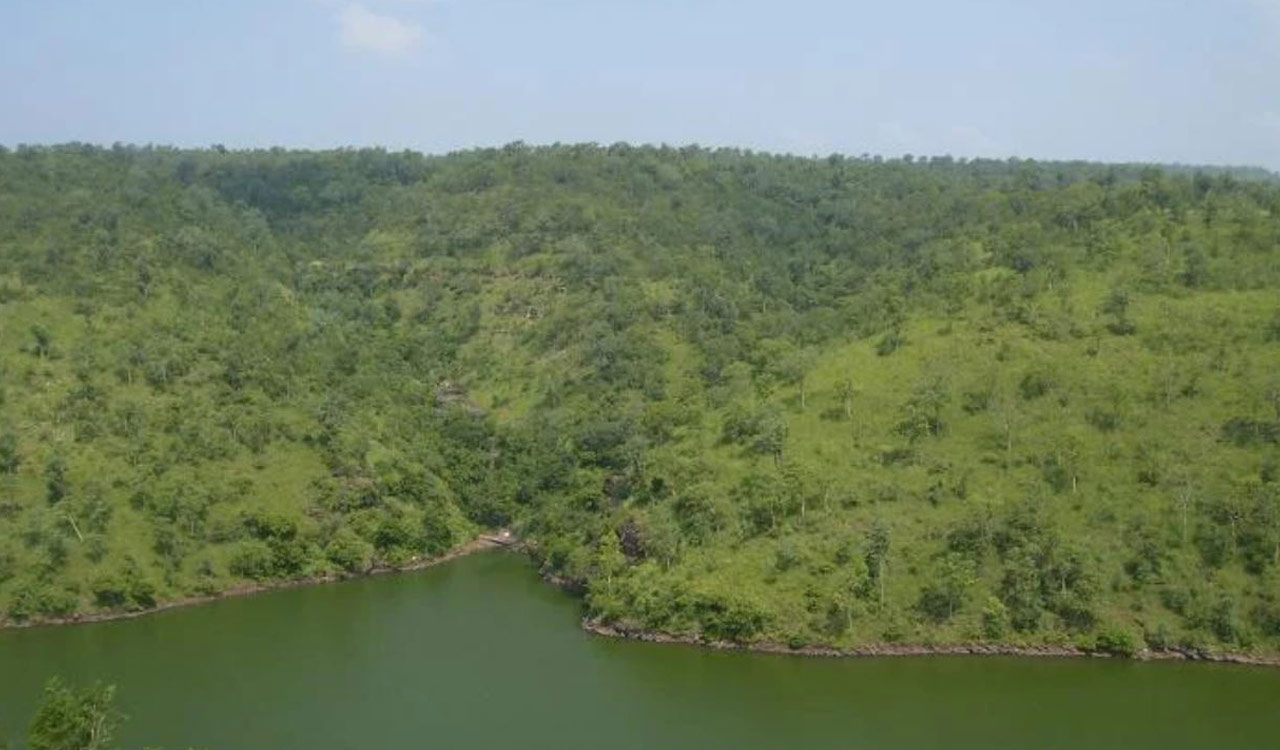 Polavaram-Banakacherla tunnel poses risk to Nallamala’s fragile ecosystem