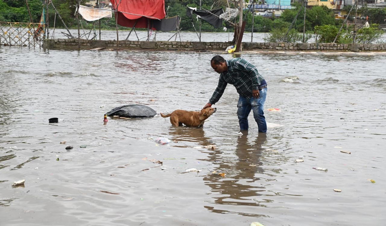 Watch: Hyderabad’s Puranapul area inundated after release of surplus floodwater from Himayatsagar