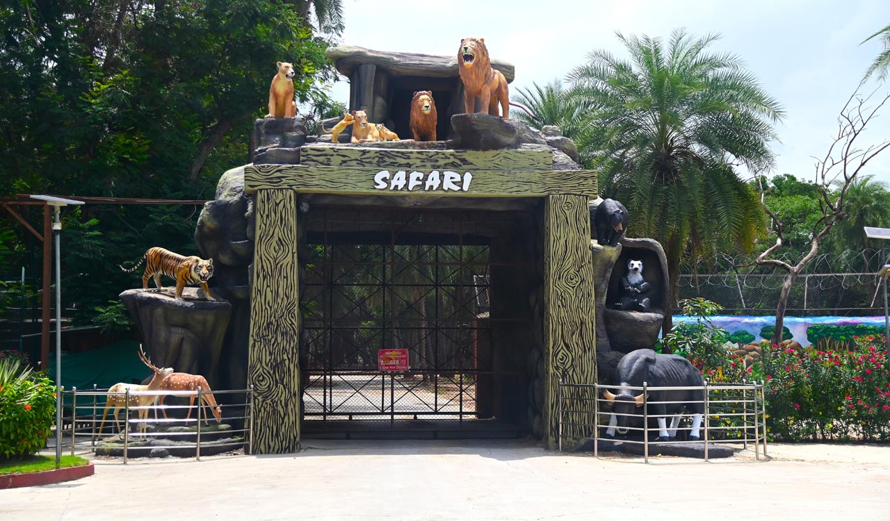 Hyderabad Zoo to launch night safari and glowing bioluminescent park