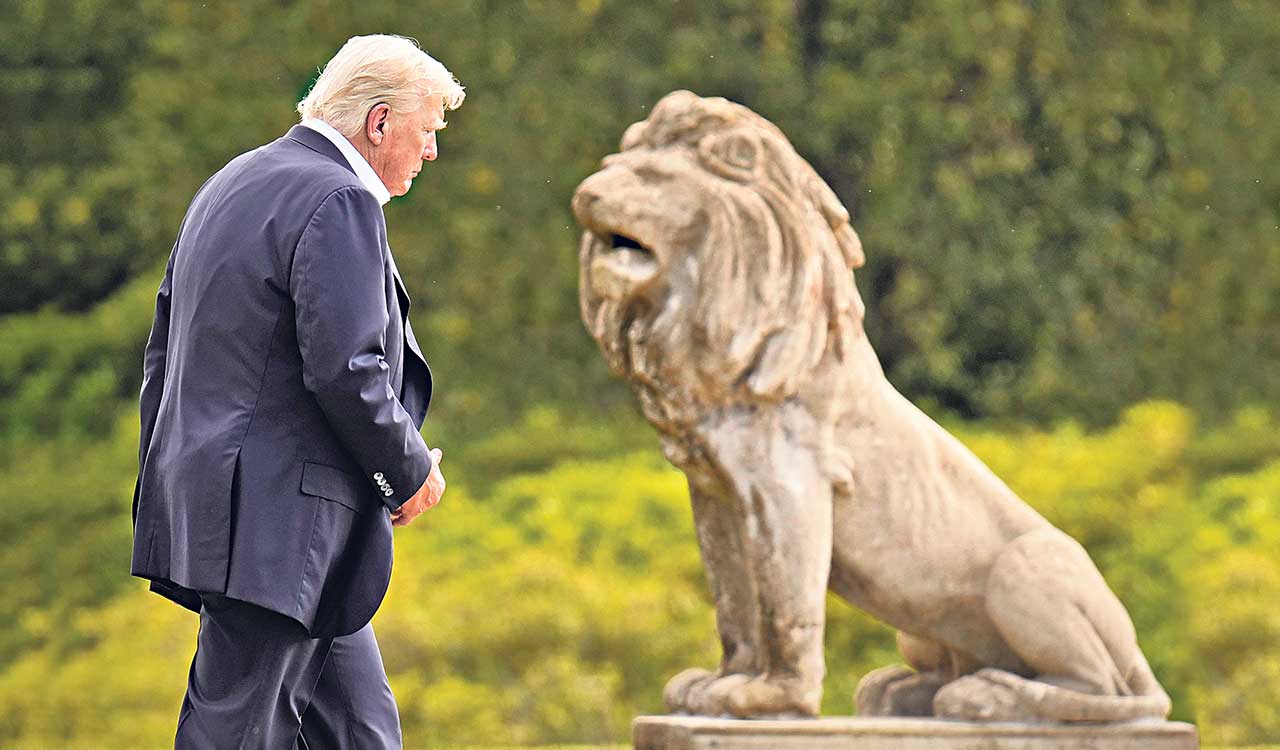Opinion Trump S Tariff How India Should Navigate The Storm Trump01