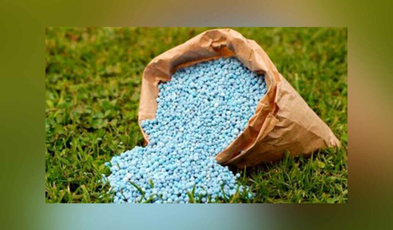 Telangana: Farmers complain about spurious urea being sold in Nagarkurnool