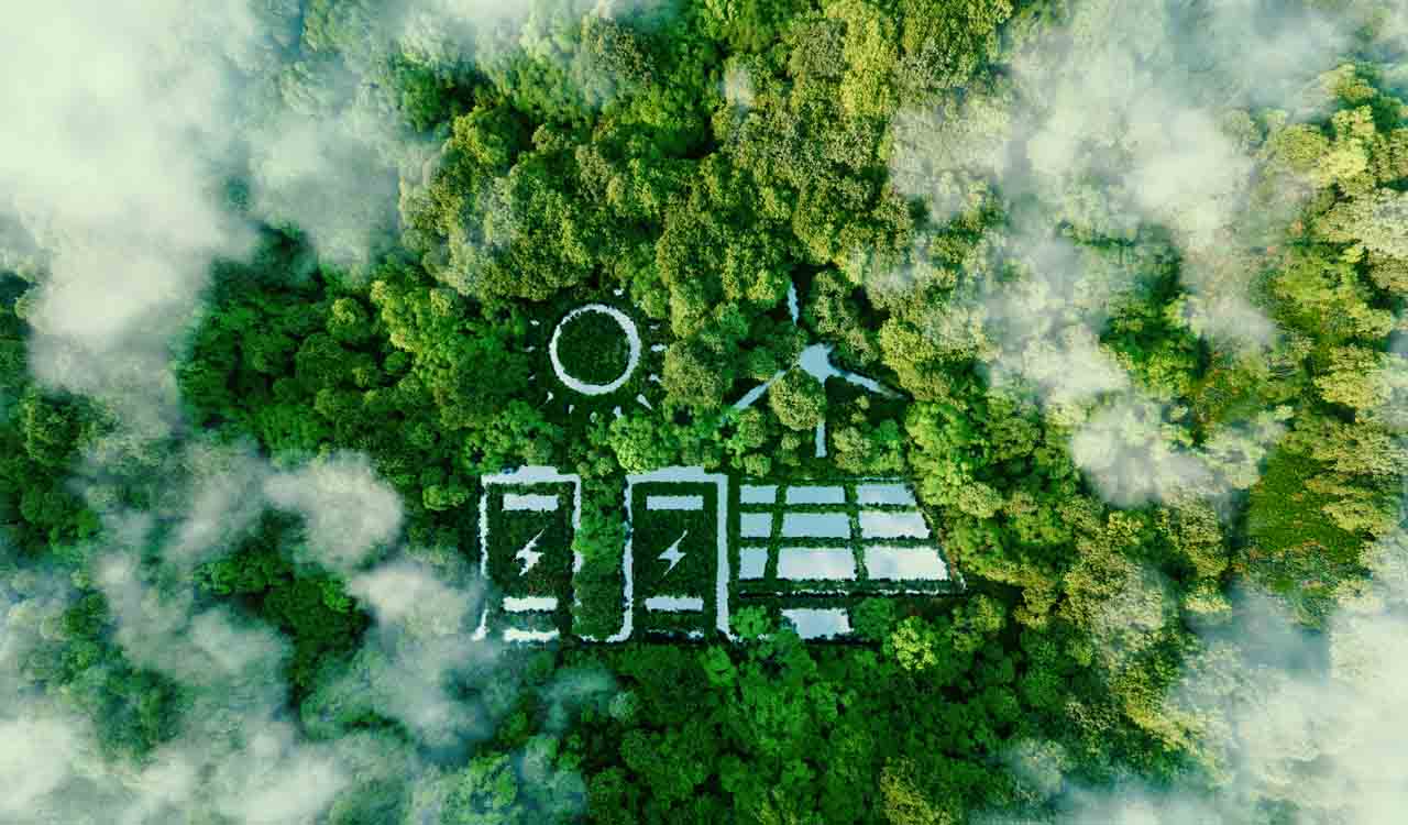 Opinion: The missing link in India’s green power transition