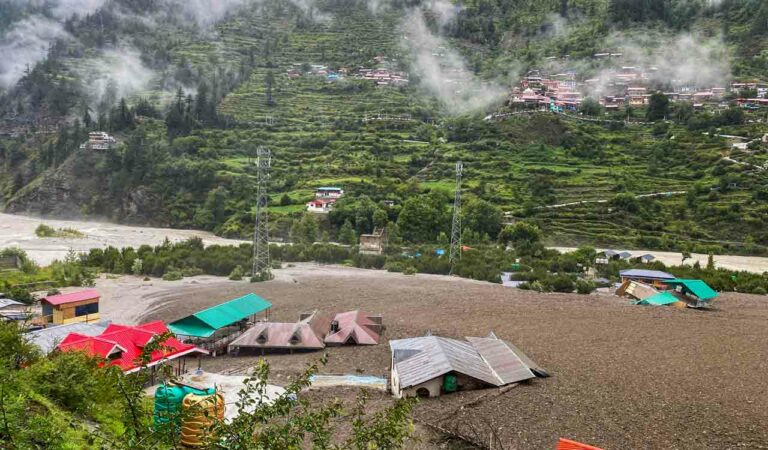Opinion: Biodiversity at breaking point — from Sundarbans to the Himalayas