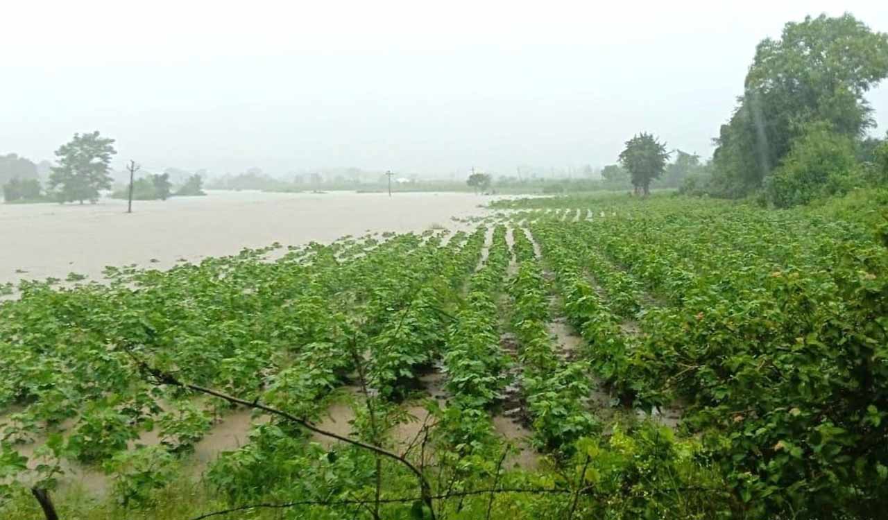Heavy rains throw life out of gear in Adilabad