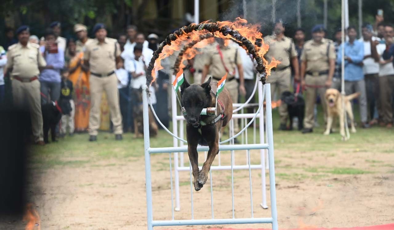 Hyderabad Gripped by Patriotic fervour on 79th Independence Day