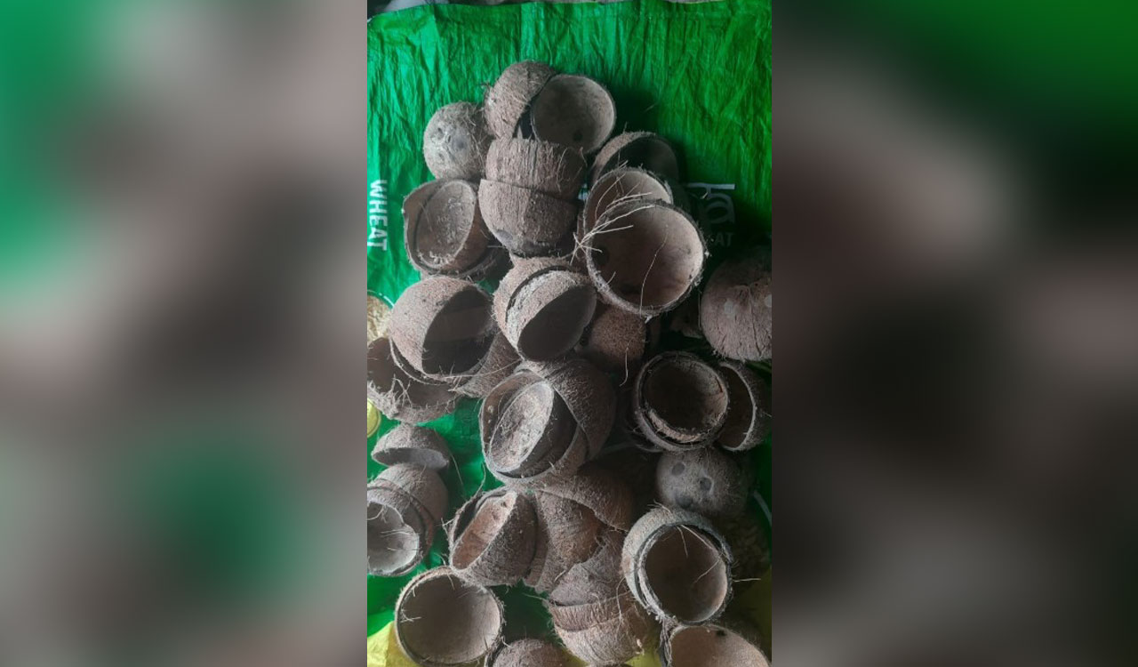Once discarded, coconut shells now a hot export commodity from Kerala