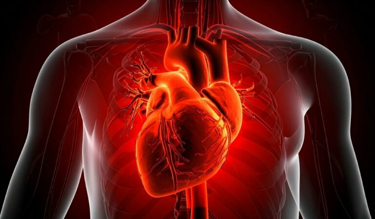 A new study reveals that chronic inflammation may connect frailty, social deprivation, and heart disease risk in women, suggesting both medical and policy interventions are needed to reduce these interconnected health issues.