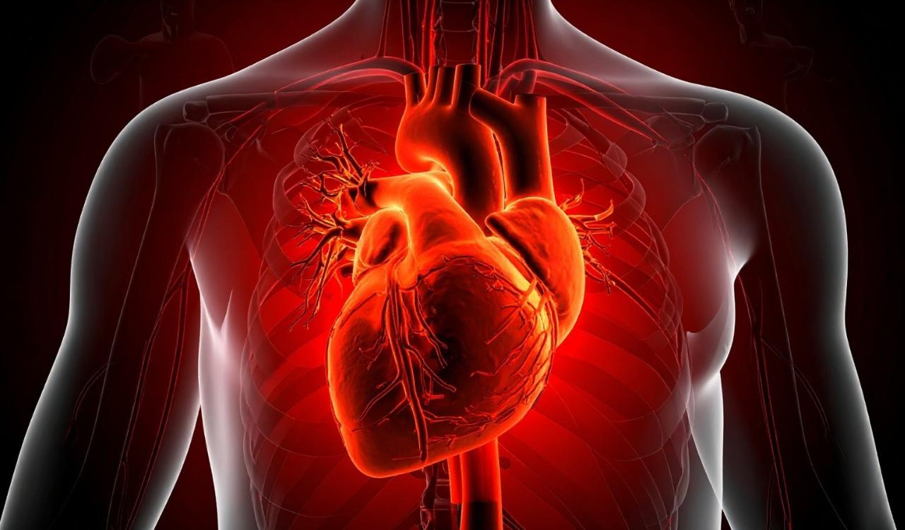 Inflammation linked to frailty, social deprivation and heart disease risk in women: Study