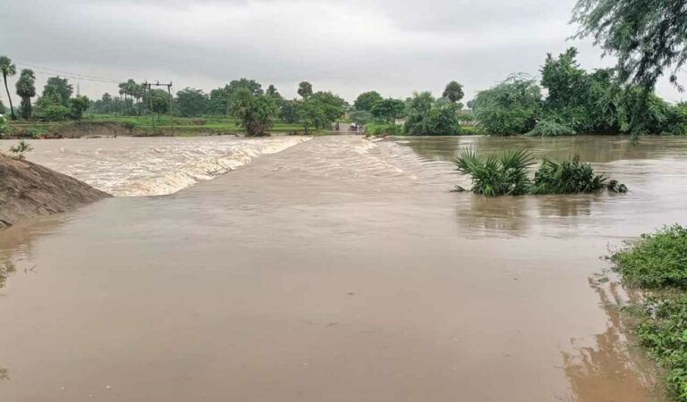 Watch: Heavy rains disrupt normal life in Telangana's Warangal, Hanamkonda, Mahabubabad