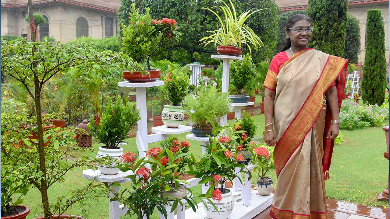 President Murmu opens summer annuals of Amrit Udyan