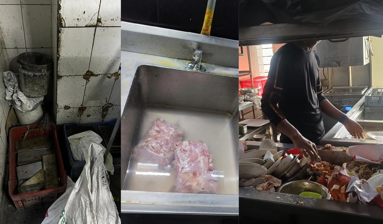 Cockroaches, expired food found in multiple Absolute Barbeque branches in Hyderabad