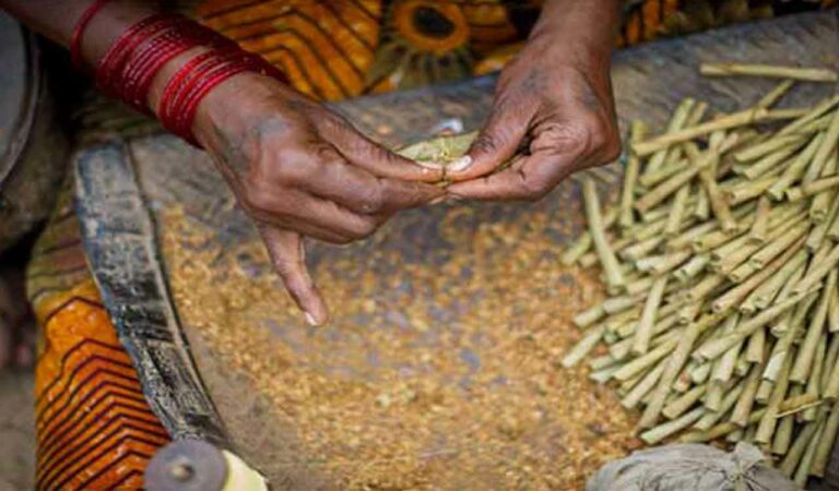 Health experts slam GST cut on bidis, call it setback to tobacco control
