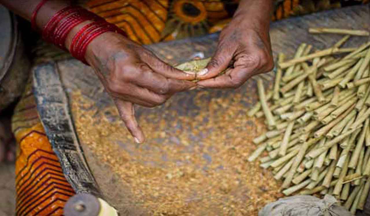 Health experts slam GST cut on bidis, call it setback to tobacco control