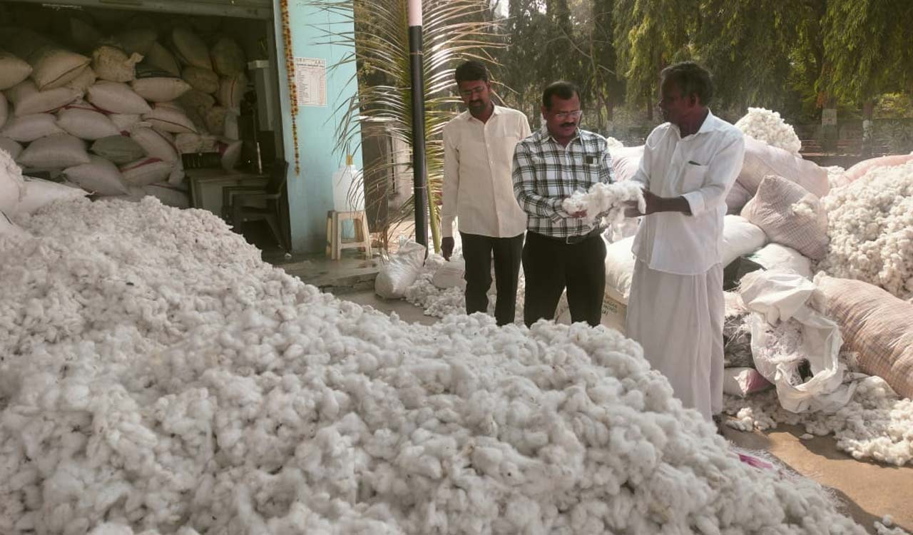 Cotton farmers brace for procurement rush as mandi prices lag MSP