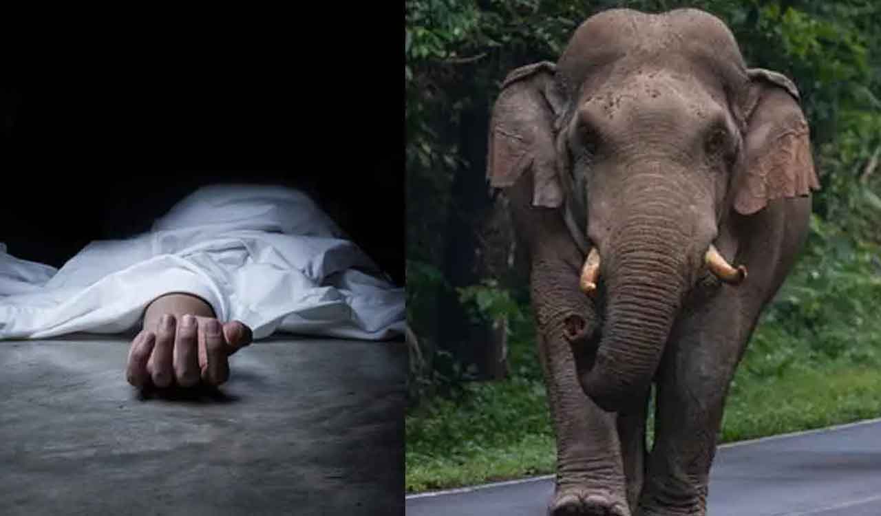 Kerala temple elephant kills mahout, another critically injured