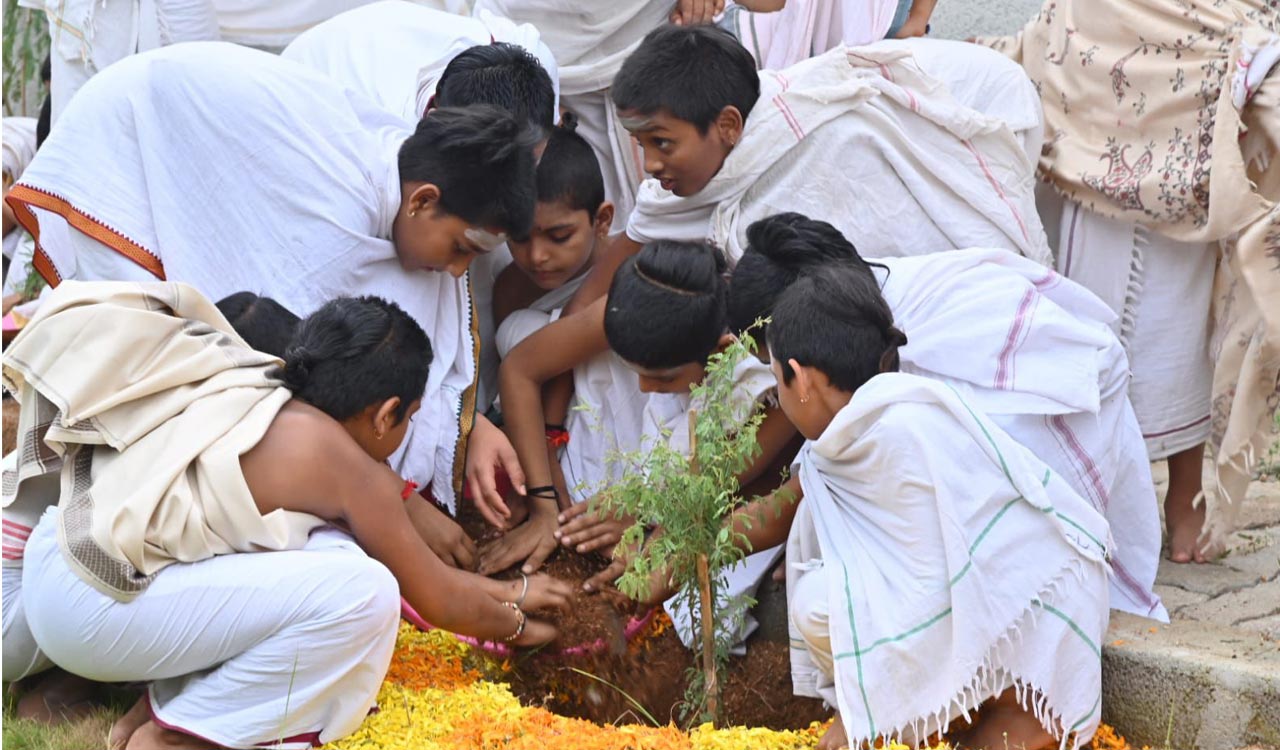 Telangana to see mass jammi tree plantation under Green India Challenge