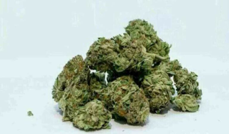 Ganja 1