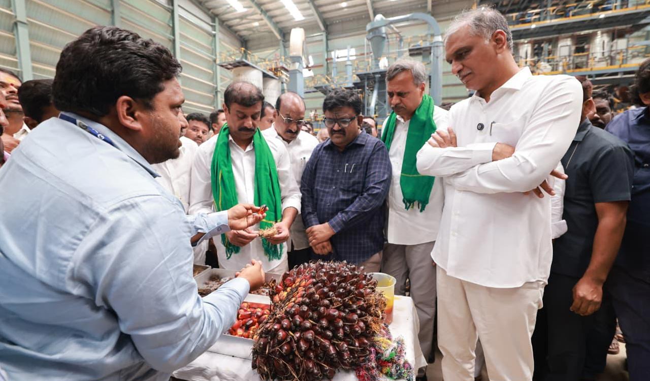 Harish Rao credits BRS for bringing oil palm factory to Siddipet, slams Congress for stealing credit