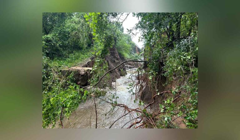 Ancient Meda Cheruvu breached in Mancherial after heavy rains