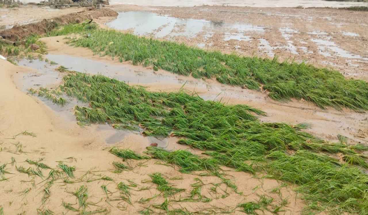 MGNREGS to help farmers clear sand from fields in Medak