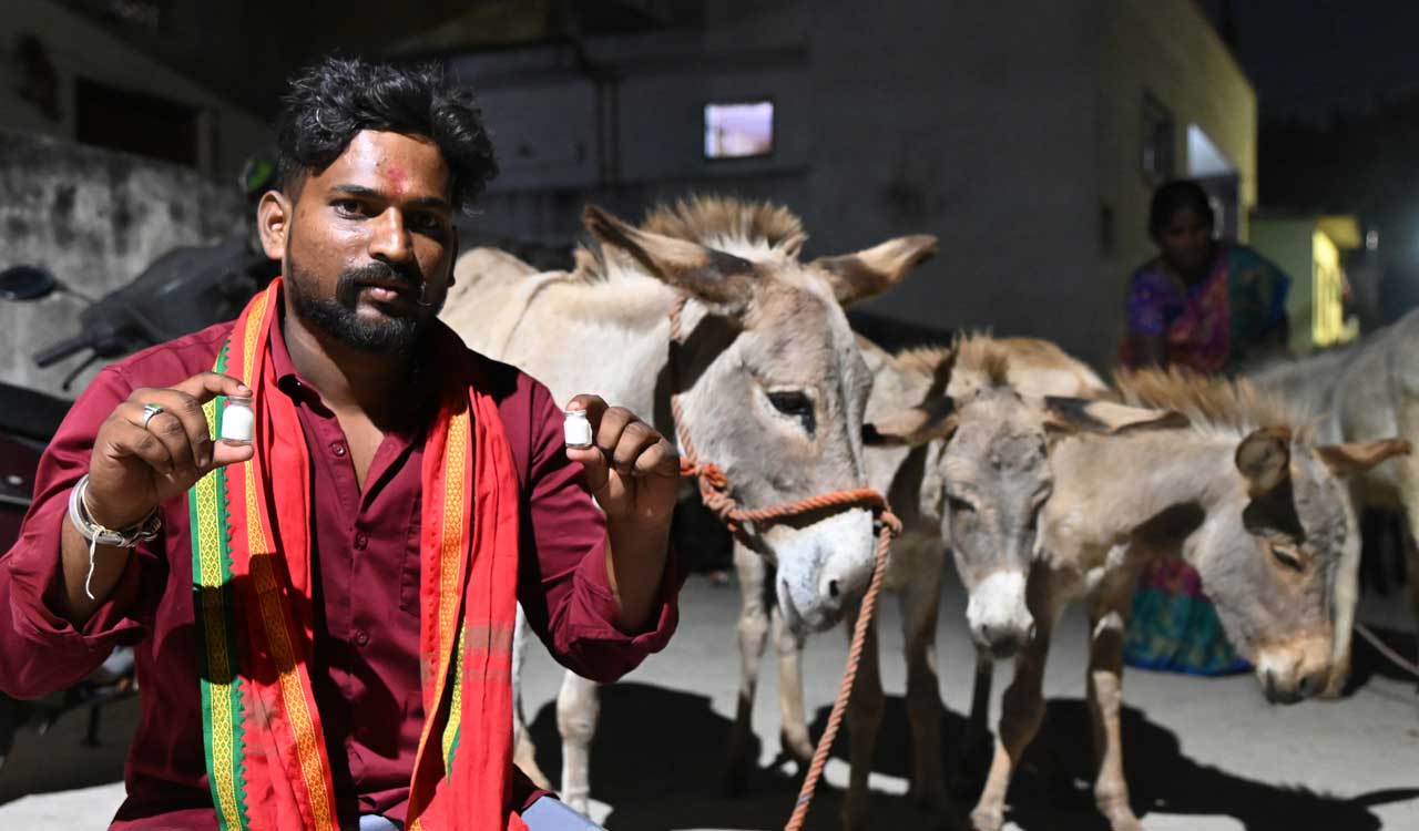 Donkey milk demand rises in Hyderabad as farmers take to streets
