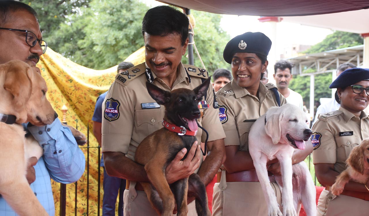 Hyderabad Police inducts women into mounted unit for first time