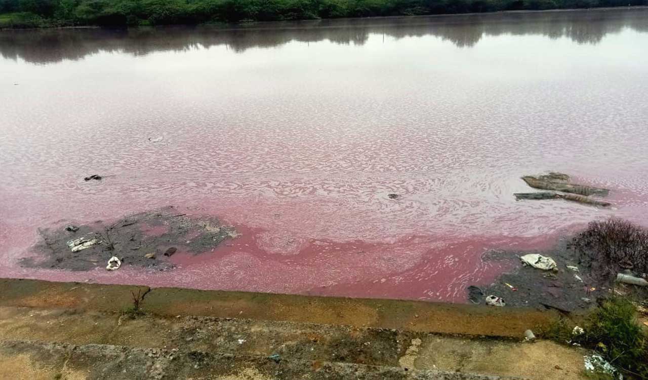 Polluted lakes dampen Bathukamma spirit in Sangareddy villages