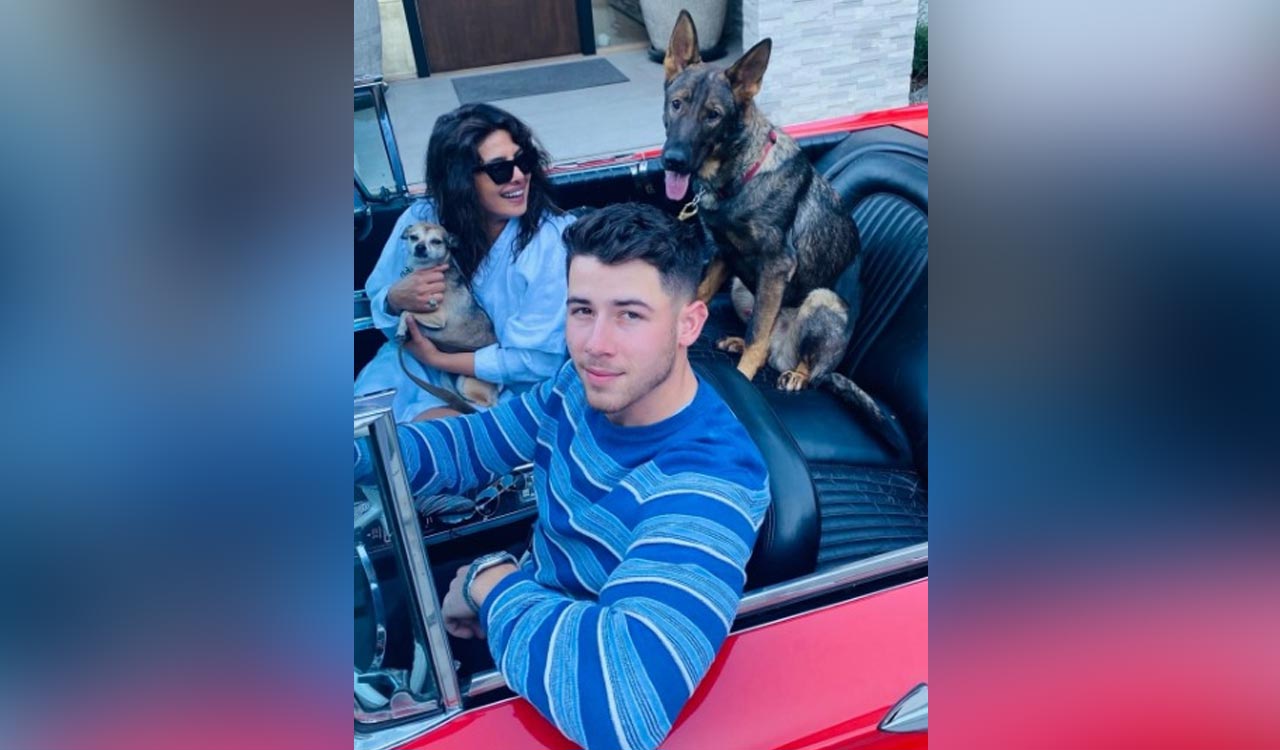 Priyanka Chopra, Nick Jonas celebrate pets Gino and Diana’s birthday