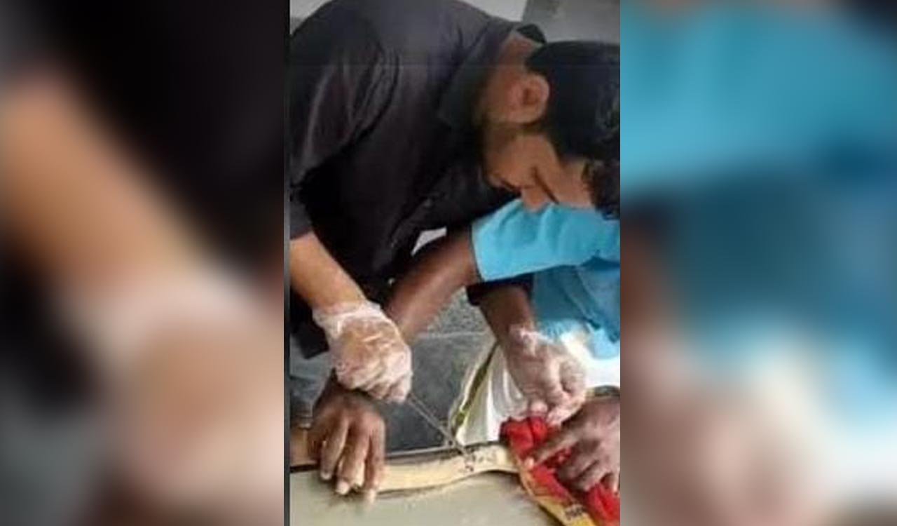 Veterinary doctor in Sircilla saves sand boa with surgery