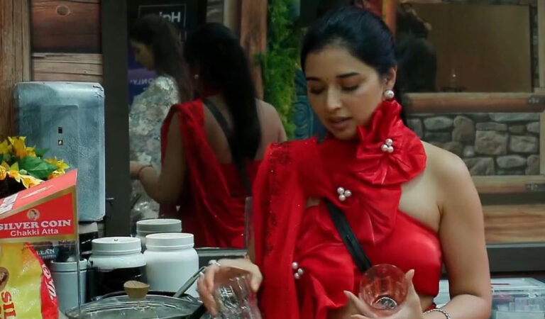 Bigg Boss 19: Tanya Mittal and Baseer Ali engage in candid heart-to-heart conversation