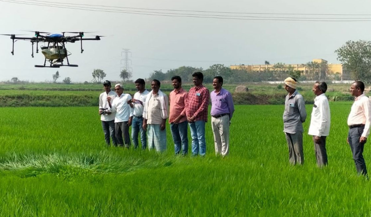 Karimnagar: Drone rentals rise as farmers adopt nano urea amidst urea crisis