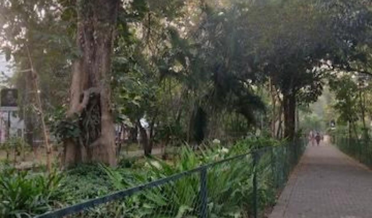 Chennai Corporation to redevelop Nageswara Rao park with new amenities