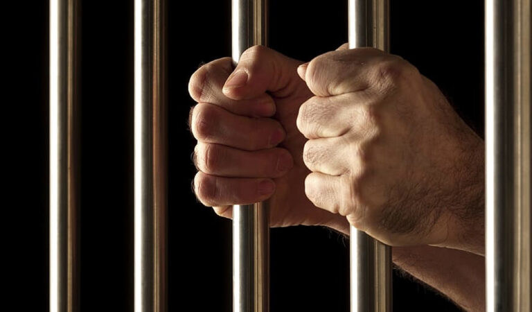 Man gets 10 years jail for growing ganja as intercrop in Asifabad