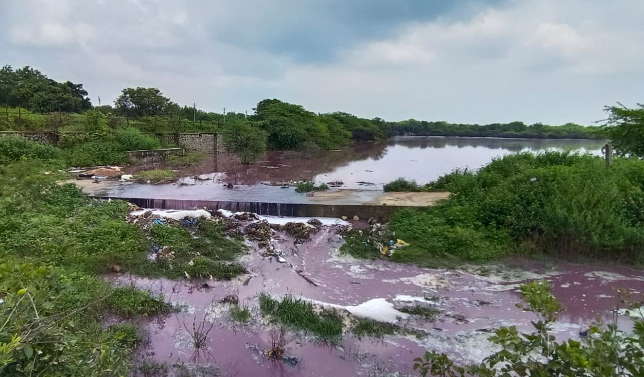 Watch: Sangareddy’s Nalla Cheruvu turns red as pharma firm releases effluents into waterbody