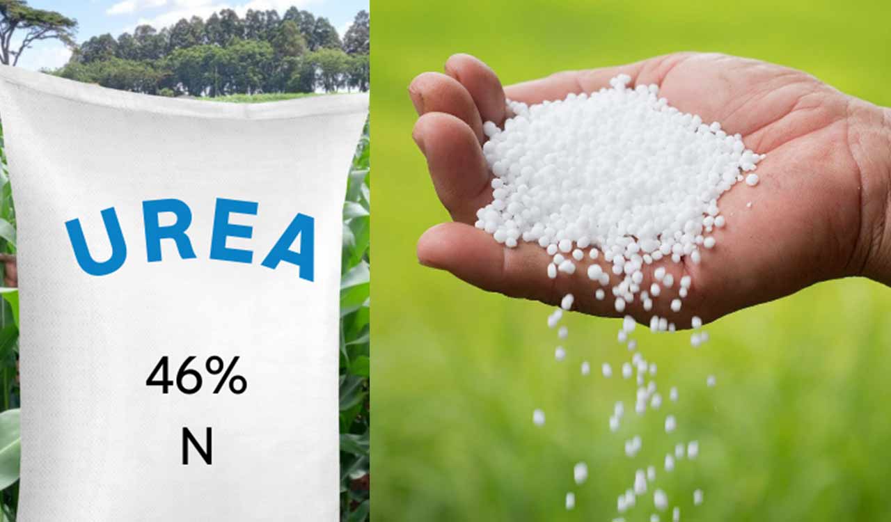 Fertiliser woes continue: Only half of urea supply reaches Asifabad