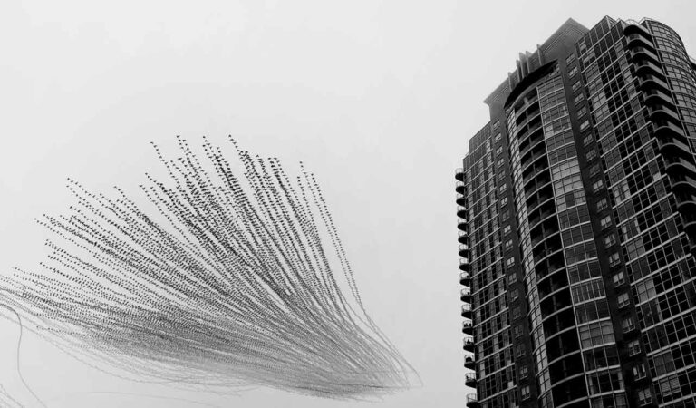 Hyderabad-born photographer Raghuvamsh Chavali wins top honour at Italy’s Trieste Photo Days