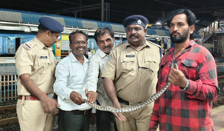Python on Train! Passengers on Andaman Express panic after snake seen in washroom
