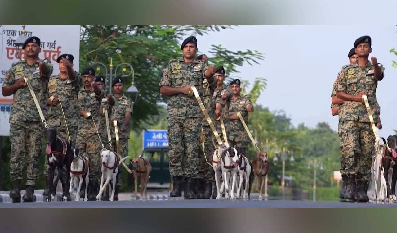 ‘Mann Ki Baat’: PM Modi hails BSF, CRPF for increasing Indian breed dogs in their contingents