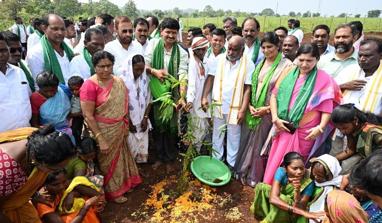 GIC Launches pilot bamboo plantation to empower Kolam tribes in Adilabad