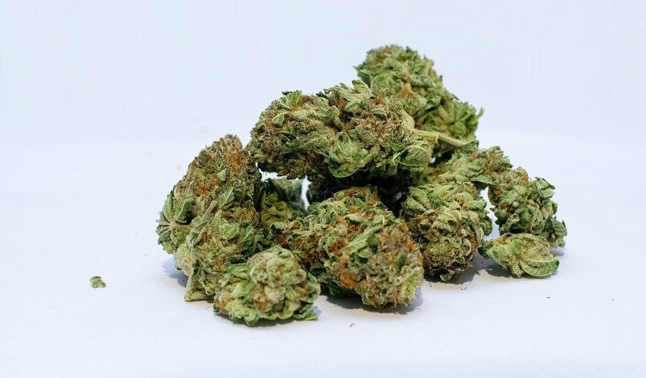 Chandanagar Police arrest three for transporting 45 kg marijuana at Lingampalli station