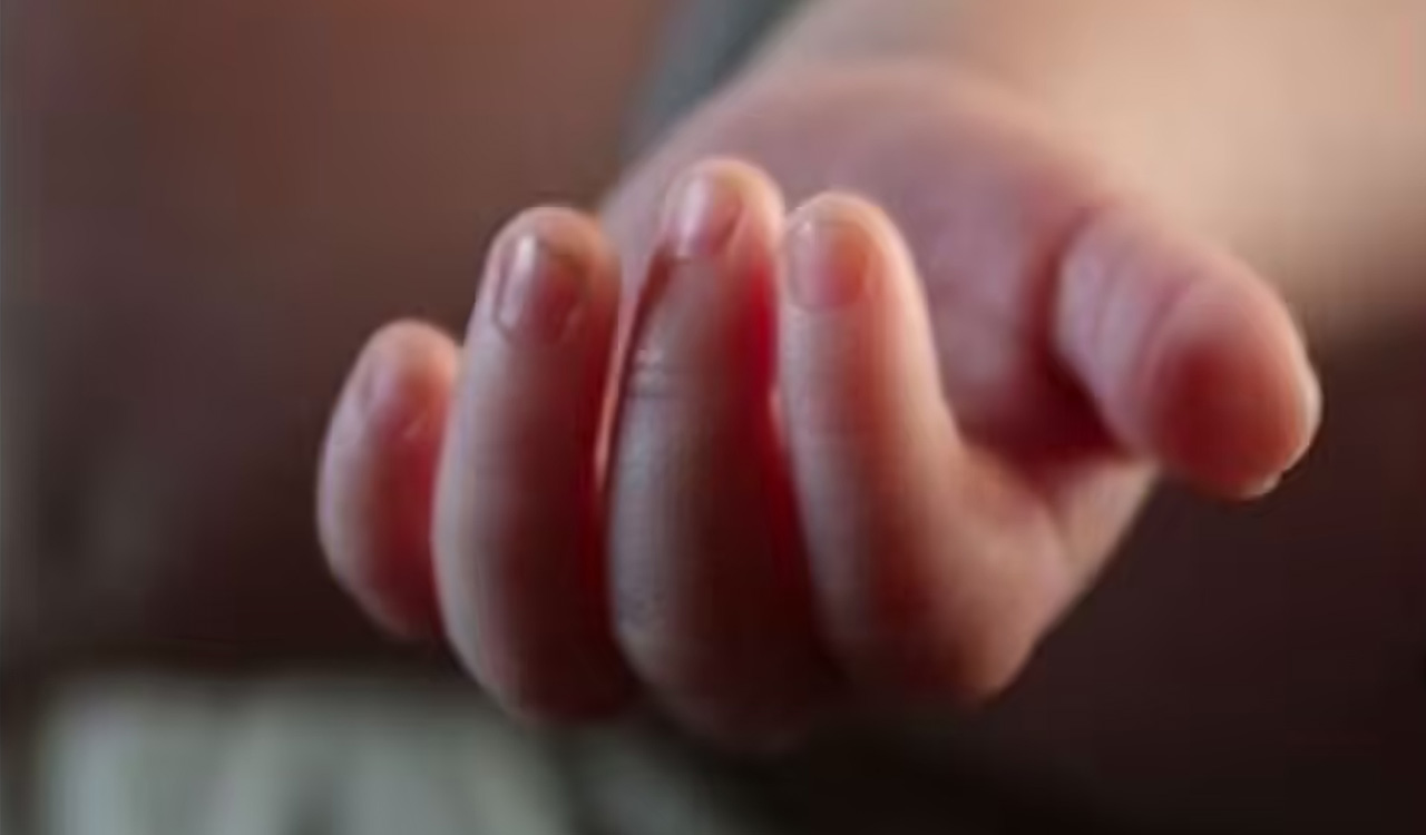 18-month-old child dies of snake bite in Rajanna-Sircilla