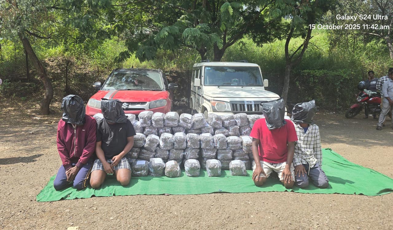 Sangareddy police seize 260 kg ganja worth Rs 1.3 crore