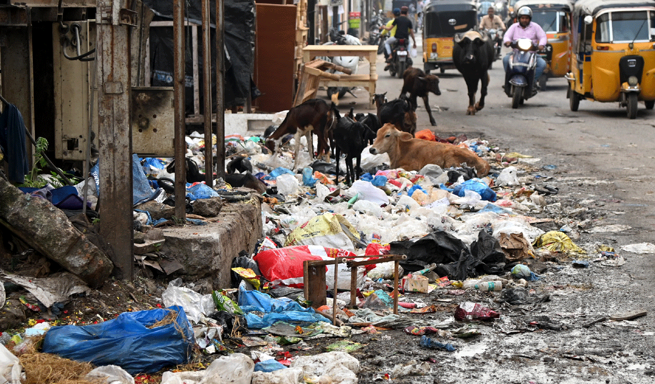 Hyderabad: Garbage piles up in colonies, causing inconvenience to residents