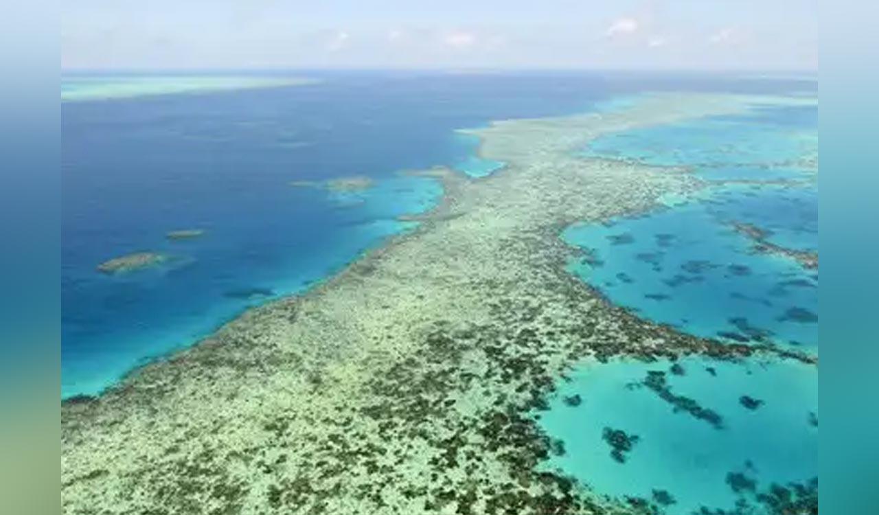 Cruise passenger found dead after being abandoned on Great Barrier Reef island