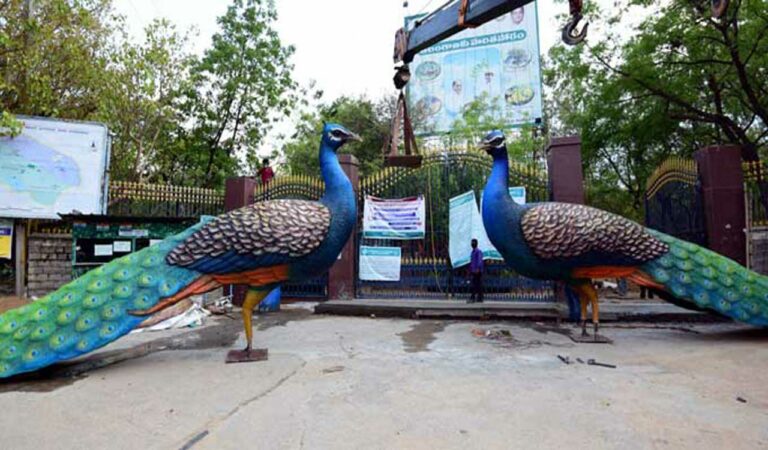 Jubilee Hills constituency: A home to glamour, development and history