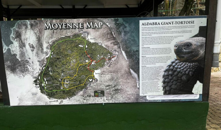 When Love Means Saying No to Fame and Fortune